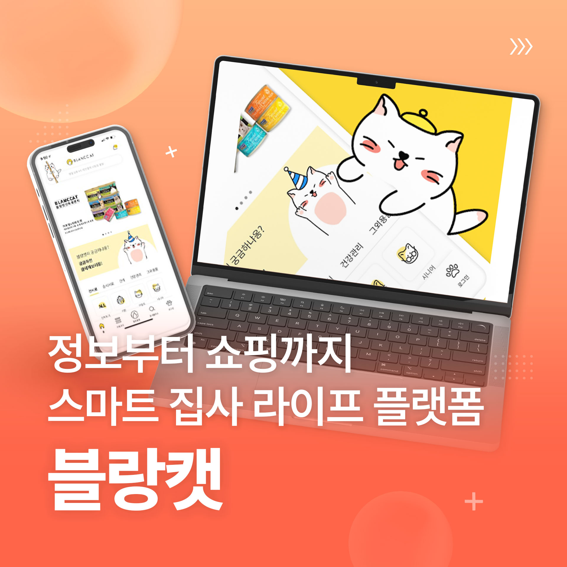 블랑캣